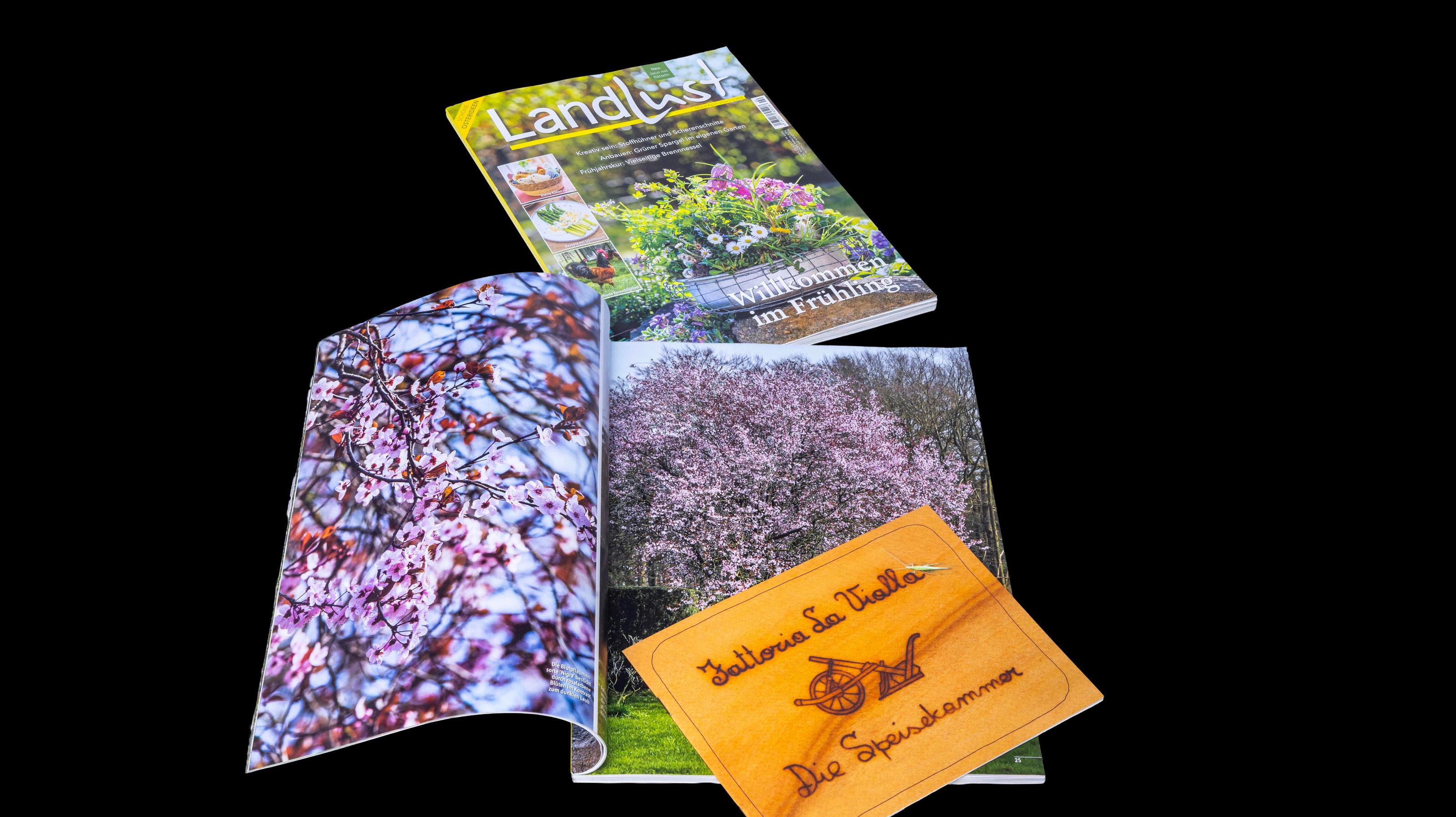 Ad Specials - Beilagen