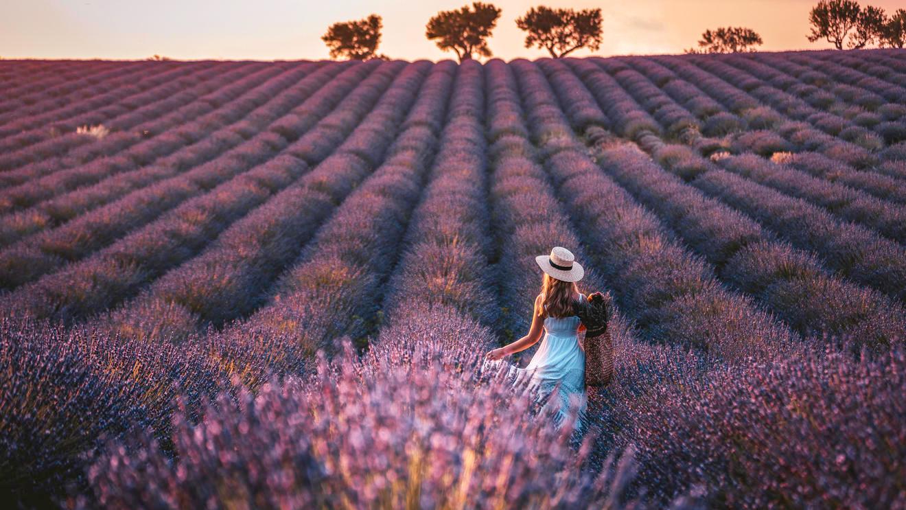 "Exclusiv Weekend": Die exklusive Bühne für Launch-Kampagnen