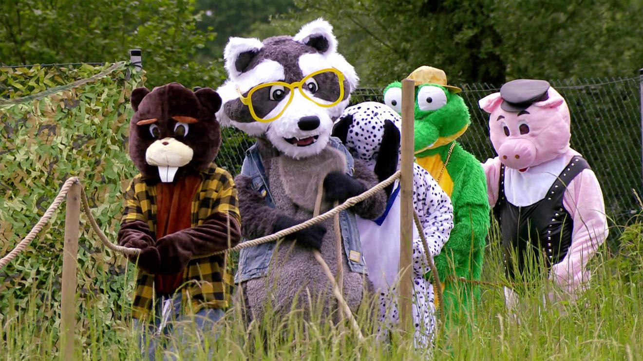 SIMon mobile: Ein Waschbär im SOMMERHAUS DER STARS