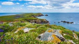 Arla lenkt mit ATV im Doppel-Pack den Blick auf die Kühltheke