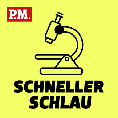 SCHNELLER SCHLAU PODCAST