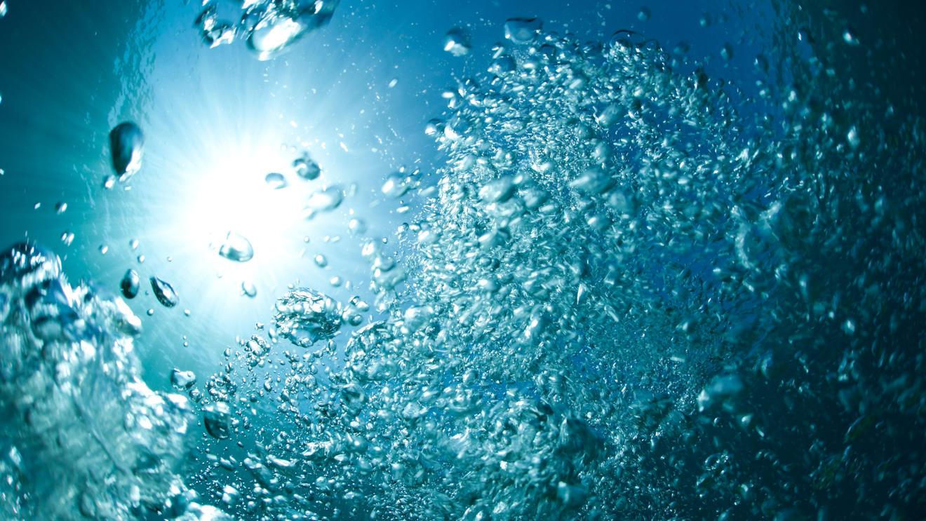 Nachhaltigkeitswoche Wasser: Mehr Touchpoints, stärkeres Umdenken