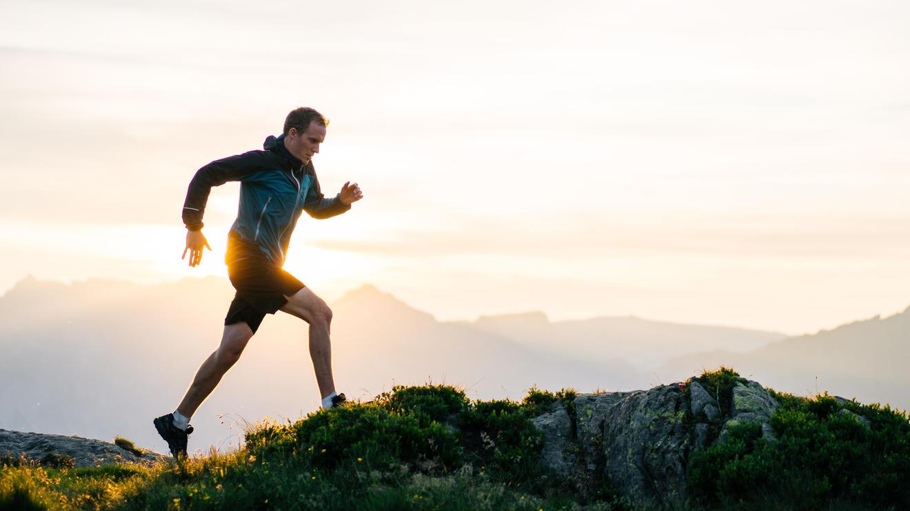 Crossmedia bei der Ad Alliance: bewährtes Rezept, gute Wirkung