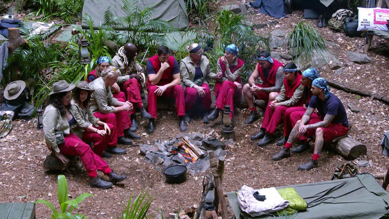 Ad Specials: Noch mehr Impact im Dschungel