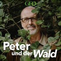 PETER UND DER WALD: EIN GEO PODCAST