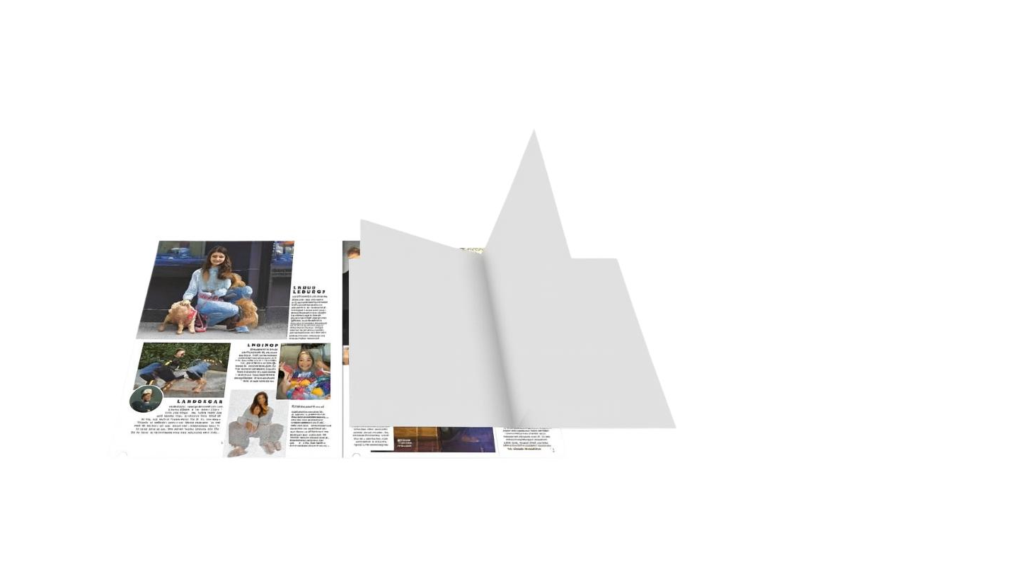 Prospekt/ Booklet Beilage