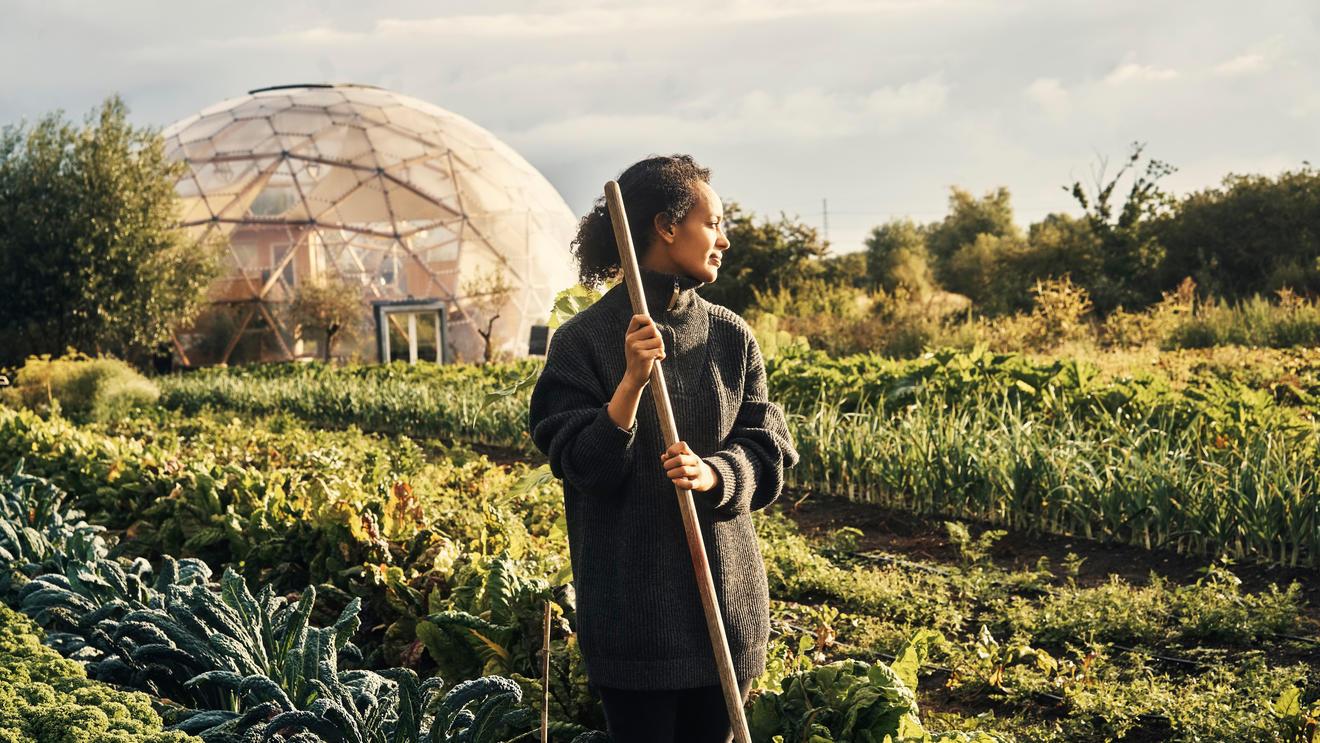 Nachhaltigkeit: Große Erwartungen an Unternehmen